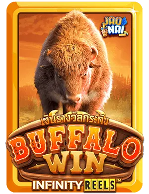 Buffalo win v3 1